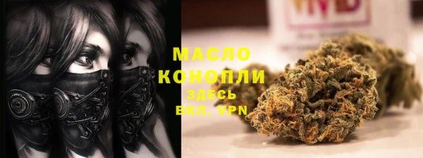 мдпв Осташков