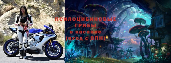 apvp Остров