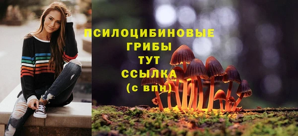 марки nbome Осинники