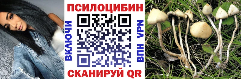 как найти закладки  Мензелинск  Псилоцибиновые грибы Psilocybe 